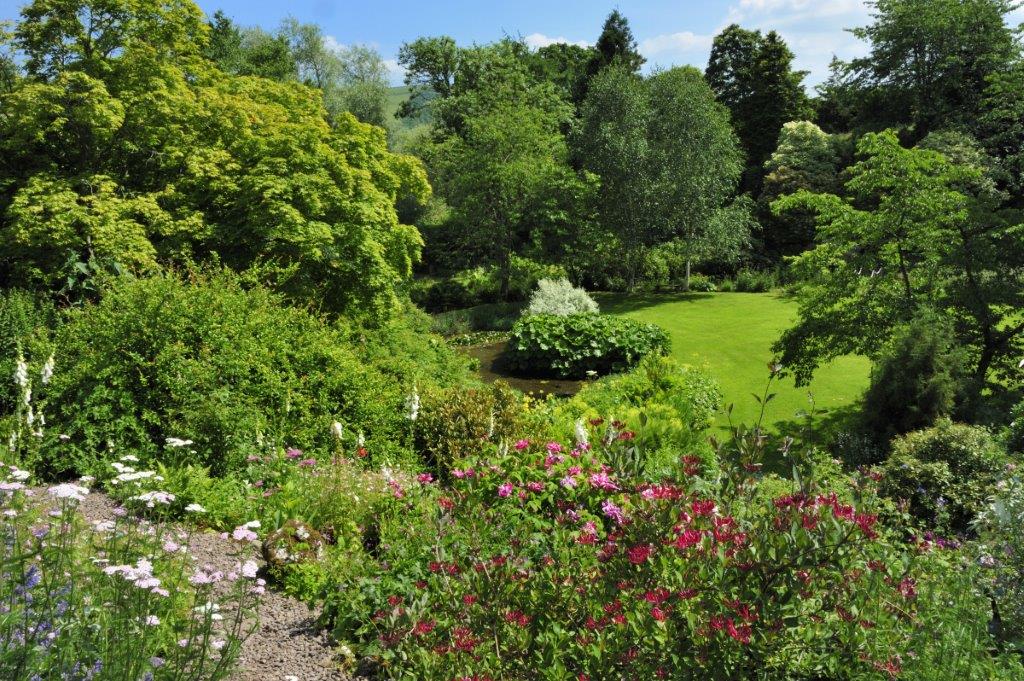 View from rockery